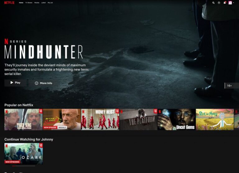 Kako staviti hrvatske titlove na netflix