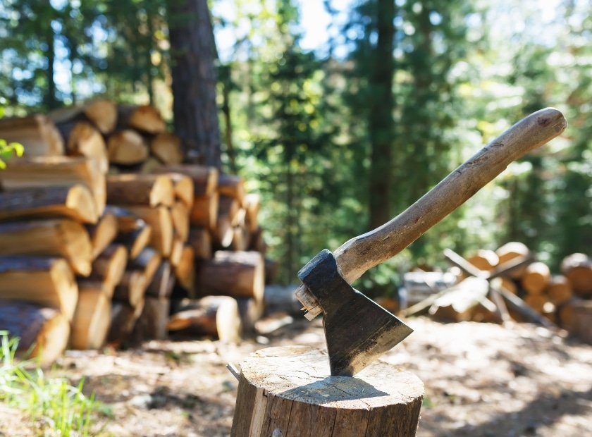 šta znači sanati drva